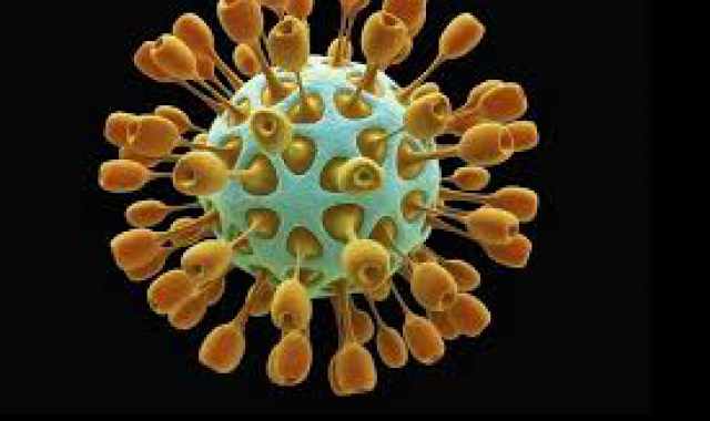 Coronavirus, in Puglia 66 nuovi casi: positivo il 4,56% dei tamponi